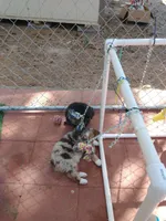 processed/42b6098f-0fd4-4b5a-8041-13a7d1533d73/facility/35ca8181-3092-42fb-8436-ec08a41f194d