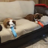 processed/42b6098f-0fd4-4b5a-8041-13a7d1533d73/facility/48e4a39d-c751-4864-8e78-1e1d5522e63b