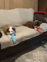 processed/42b6098f-0fd4-4b5a-8041-13a7d1533d73/facility/48e4a39d-c751-4864-8e78-1e1d5522e63b