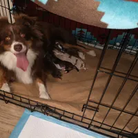 processed/42b6098f-0fd4-4b5a-8041-13a7d1533d73/facility/4f6ca8c7-468e-4e81-b8bc-0464d8c466b4