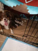 processed/42b6098f-0fd4-4b5a-8041-13a7d1533d73/facility/4f6ca8c7-468e-4e81-b8bc-0464d8c466b4