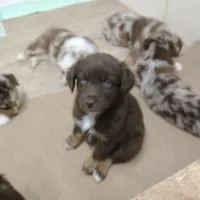 processed/42b6098f-0fd4-4b5a-8041-13a7d1533d73/facility/553caa0a-82f4-41c4-a521-0a7d402ada61