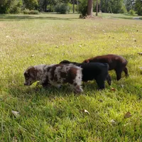 processed/42b6098f-0fd4-4b5a-8041-13a7d1533d73/facility/62dc801a-4246-4384-ba49-d167c98f846c