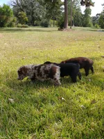 processed/42b6098f-0fd4-4b5a-8041-13a7d1533d73/facility/62dc801a-4246-4384-ba49-d167c98f846c