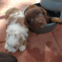 processed/42b6098f-0fd4-4b5a-8041-13a7d1533d73/facility/639beb80-5f3a-4fcd-a243-d4d68f1a40fd