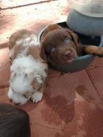 processed/42b6098f-0fd4-4b5a-8041-13a7d1533d73/facility/639beb80-5f3a-4fcd-a243-d4d68f1a40fd