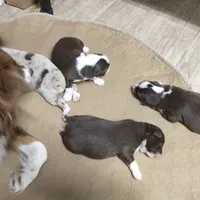 processed/42b6098f-0fd4-4b5a-8041-13a7d1533d73/facility/7d78fbbb-6d33-4f91-9c0a-ecf5abf9a42f