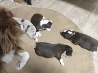 processed/42b6098f-0fd4-4b5a-8041-13a7d1533d73/facility/7d78fbbb-6d33-4f91-9c0a-ecf5abf9a42f