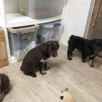 processed/42b6098f-0fd4-4b5a-8041-13a7d1533d73/facility/bb51a608-8bbb-41ef-9b1c-200461bbc584