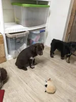 processed/42b6098f-0fd4-4b5a-8041-13a7d1533d73/facility/bb51a608-8bbb-41ef-9b1c-200461bbc584