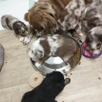 processed/42b6098f-0fd4-4b5a-8041-13a7d1533d73/facility/befb5a76-f489-48dc-adbb-432861831349