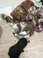 processed/42b6098f-0fd4-4b5a-8041-13a7d1533d73/facility/befb5a76-f489-48dc-adbb-432861831349