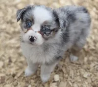 processed/42b6098f-0fd4-4b5a-8041-13a7d1533d73/listing/005e3a2f-f992-4b77-b293-db573e8e66e9/b4c45b8d-49aa-4abc-bea9-45873aaec250