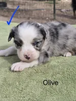 processed/42b6098f-0fd4-4b5a-8041-13a7d1533d73/listing/005e3a2f-f992-4b77-b293-db573e8e66e9/ecccc82f-548e-4b49-af3e-bafd5e533a89