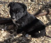 processed/42b6098f-0fd4-4b5a-8041-13a7d1533d73/listing/139df3fd-f7b3-4600-a0a1-3995cac5d66b/036d6364-88e2-4294-848f-7eb99518d704