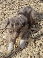 processed/42b6098f-0fd4-4b5a-8041-13a7d1533d73/listing/139df3fd-f7b3-4600-a0a1-3995cac5d66b/19f9459a-df9b-4281-886b-63b2271135a1