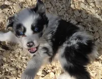 processed/42b6098f-0fd4-4b5a-8041-13a7d1533d73/listing/139df3fd-f7b3-4600-a0a1-3995cac5d66b/2c3e3186-71c9-494a-a645-efda14add4e6