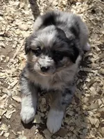 processed/42b6098f-0fd4-4b5a-8041-13a7d1533d73/listing/139df3fd-f7b3-4600-a0a1-3995cac5d66b/31f15808-6ea9-4a68-8fc9-e1539d57395c