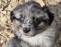 processed/42b6098f-0fd4-4b5a-8041-13a7d1533d73/listing/139df3fd-f7b3-4600-a0a1-3995cac5d66b/4f75cfeb-6a93-49fc-a13e-06a5afb15820