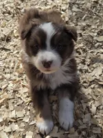 processed/42b6098f-0fd4-4b5a-8041-13a7d1533d73/listing/139df3fd-f7b3-4600-a0a1-3995cac5d66b/51bead99-bc82-49fa-97d6-347421bf3633