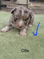 processed/42b6098f-0fd4-4b5a-8041-13a7d1533d73/listing/139df3fd-f7b3-4600-a0a1-3995cac5d66b/52605edc-8709-44be-b8be-f2783f7b193c