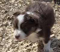 processed/42b6098f-0fd4-4b5a-8041-13a7d1533d73/listing/139df3fd-f7b3-4600-a0a1-3995cac5d66b/6016e986-5f2b-4c39-936f-b9fde8dc2cce