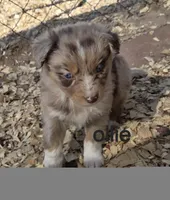 processed/42b6098f-0fd4-4b5a-8041-13a7d1533d73/listing/139df3fd-f7b3-4600-a0a1-3995cac5d66b/c87a9d89-85c2-4bf7-835b-bedcb1bc447d