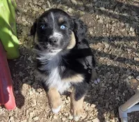 processed/42b6098f-0fd4-4b5a-8041-13a7d1533d73/listing/139df3fd-f7b3-4600-a0a1-3995cac5d66b/cb10bbc0-4b3c-4793-b637-9edb06e35949