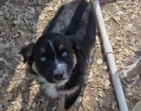 processed/42b6098f-0fd4-4b5a-8041-13a7d1533d73/listing/139df3fd-f7b3-4600-a0a1-3995cac5d66b/dc53d877-2d9d-48fe-b3ff-5d8f8ac7c9b2