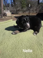 processed/42b6098f-0fd4-4b5a-8041-13a7d1533d73/listing/3e68ef4b-8b16-4fdc-8649-67a78f82313c/1c3139e1-bd99-4131-88dc-08338aee2b46