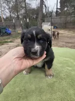 processed/42b6098f-0fd4-4b5a-8041-13a7d1533d73/listing/3e68ef4b-8b16-4fdc-8649-67a78f82313c/396dcbfa-440f-4141-b404-a3bd3d57d315