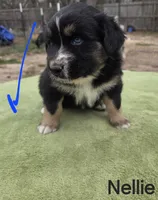 processed/42b6098f-0fd4-4b5a-8041-13a7d1533d73/listing/3e68ef4b-8b16-4fdc-8649-67a78f82313c/6a27b7f2-cf52-475a-ae64-c6dd7a0602ab