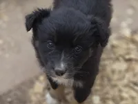 processed/42b6098f-0fd4-4b5a-8041-13a7d1533d73/listing/5f17ceef-84de-4ed4-ae71-d4dfa02bf2a4/87ca14d6-b227-480b-82c1-77657a358cb5