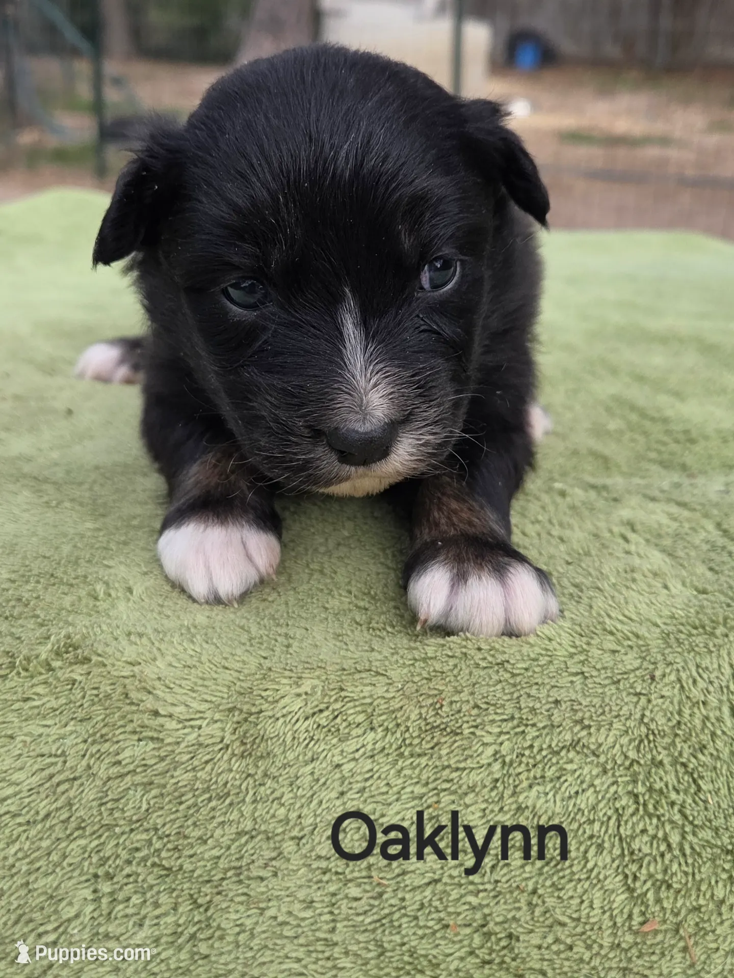 processed/42b6098f-0fd4-4b5a-8041-13a7d1533d73/listing/5f17ceef-84de-4ed4-ae71-d4dfa02bf2a4/f4e2c276-1289-4029-81db-e7c4fec170d5