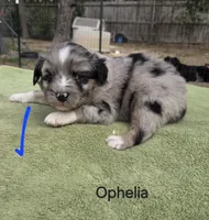 processed/42b6098f-0fd4-4b5a-8041-13a7d1533d73/listing/5f6cf611-7595-401f-b9c8-cb1aefa229c3/7e3750bf-1f82-4ed0-a7c0-465baaf500e3