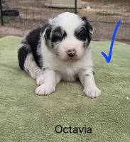 processed/42b6098f-0fd4-4b5a-8041-13a7d1533d73/listing/b2fbd978-048b-4439-a887-1738b142a881/a88043a8-5cac-4756-95a6-83a33493f825