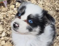 processed/42b6098f-0fd4-4b5a-8041-13a7d1533d73/listing/b2fbd978-048b-4439-a887-1738b142a881/eb990182-1d00-4ca8-9013-485f0a1d37f1