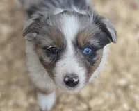 processed/42b6098f-0fd4-4b5a-8041-13a7d1533d73/listing/bcabdbfb-5e8d-4f9e-82af-ff5102bdb6a9/15419ba8-3e8d-4fbb-916f-568016eb4879