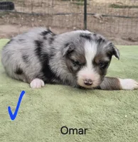 processed/42b6098f-0fd4-4b5a-8041-13a7d1533d73/listing/bcabdbfb-5e8d-4f9e-82af-ff5102bdb6a9/94cec2b9-ef0c-4a07-93f7-75b1ae5091f9