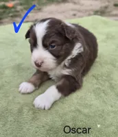 processed/42b6098f-0fd4-4b5a-8041-13a7d1533d73/listing/e5081117-c9fd-44dc-992d-8f9ec41dcf72/1e754bfe-8506-48c2-8701-11cfeb289df6