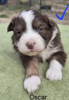 processed/42b6098f-0fd4-4b5a-8041-13a7d1533d73/listing/e5081117-c9fd-44dc-992d-8f9ec41dcf72/d06c0f42-099e-486e-a9bd-6d6b5411abd7