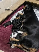 processed/42b87e3d-343f-4ea6-a840-f9e7ea3b97b7/facility/1f98130c-8c2f-4876-a118-5ec91f719f63