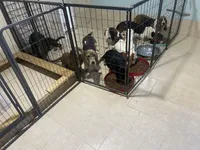 processed/42b87e3d-343f-4ea6-a840-f9e7ea3b97b7/facility/2cc16e54-6206-4e13-a4f0-afcb9e27c1c8