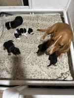 processed/42b87e3d-343f-4ea6-a840-f9e7ea3b97b7/facility/5c682597-7193-400a-8d50-620f55529d10