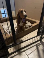 processed/42b87e3d-343f-4ea6-a840-f9e7ea3b97b7/facility/e8349508-9a65-4c70-ba07-beda7cf25f1a