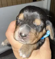 processed/42b87e3d-343f-4ea6-a840-f9e7ea3b97b7/listing/2e32324b-a090-4298-ad78-48a2f8502471/7714bf2a-c4d5-451f-812f-90f331c7d52f