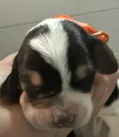 processed/42b87e3d-343f-4ea6-a840-f9e7ea3b97b7/listing/49e055b0-aabb-4abf-ae80-69e0044dc171/937512b1-f557-4f08-9ed4-2a87e43bdf96