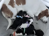 processed/42b87e3d-343f-4ea6-a840-f9e7ea3b97b7/listing/49e055b0-aabb-4abf-ae80-69e0044dc171/d96b264e-088b-46db-bb08-4b1f48a35626