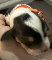 processed/42b87e3d-343f-4ea6-a840-f9e7ea3b97b7/listing/49e055b0-aabb-4abf-ae80-69e0044dc171/ebe4fd06-38fd-44a8-972b-2698b4787fc1