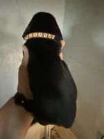 Brown, a male Basset Hound for sale in Blackshear, GA – Photo 3 of 4